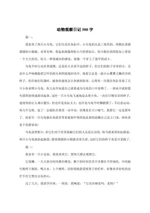 动物观察日记500字