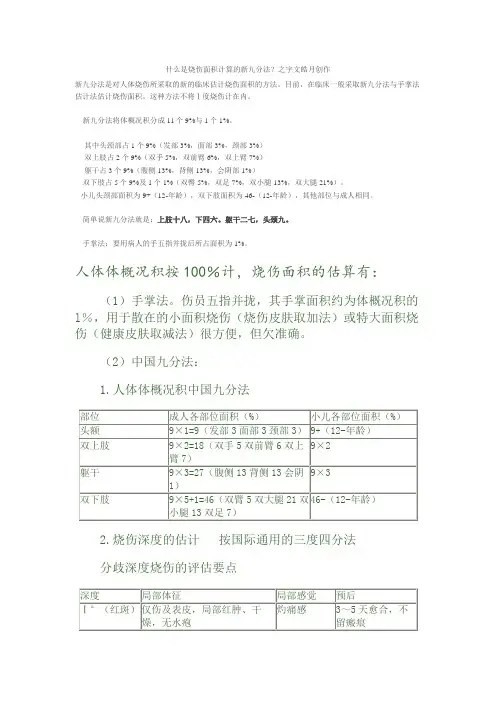 烧伤等级九分法