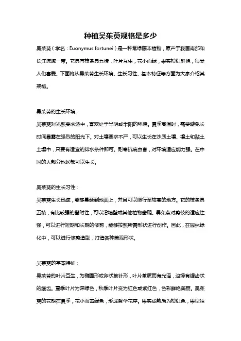 种植吴茱萸规格是多少