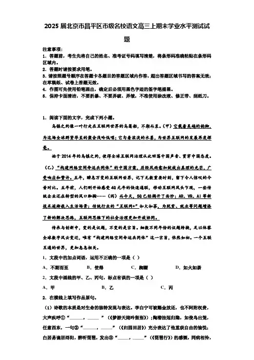 2025届北京市昌平区市级名校语文高三上期末学业水平测试试题含解析