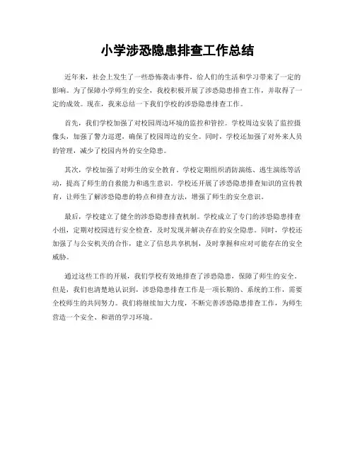 小学涉恐隐患排查工作总结 2