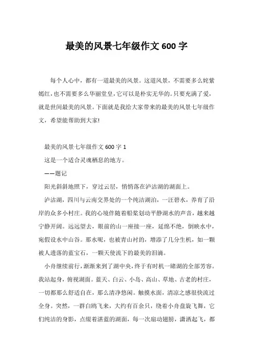 (初一作文)最美的风景七年级作文600字