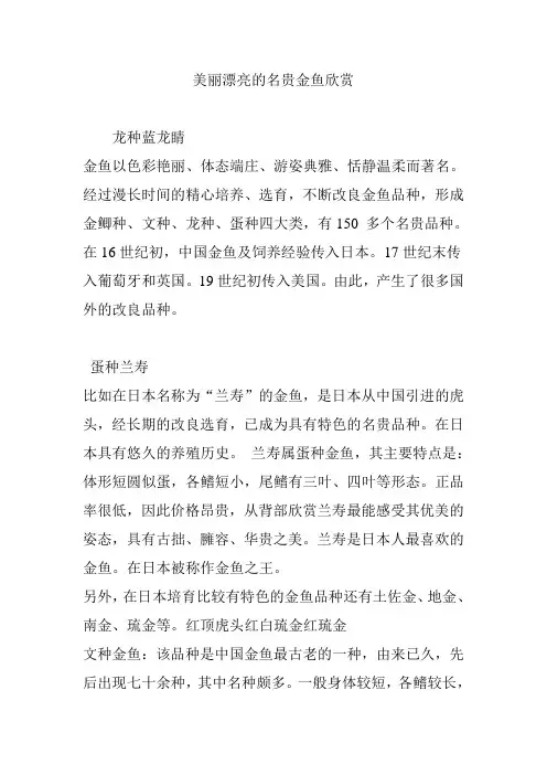美丽漂亮的名贵金鱼欣赏