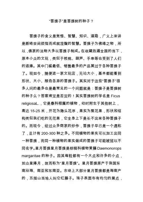 “菩提子”是菩提树的种子？