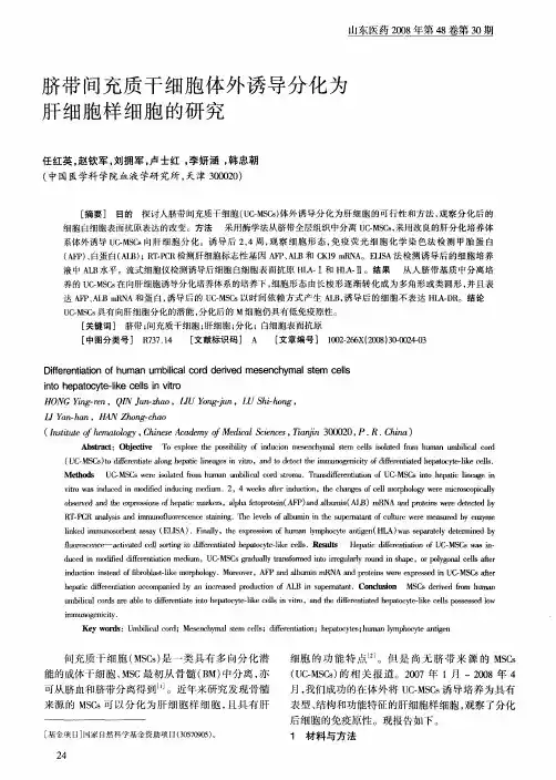 脐带间充质干细胞体外诱导分化为肝细胞样细胞的研究