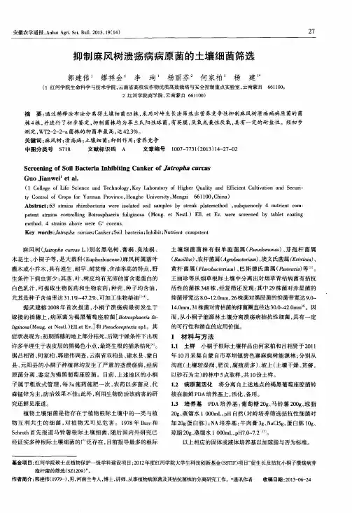抑制麻风树溃疡病病原菌的土壤细菌筛选