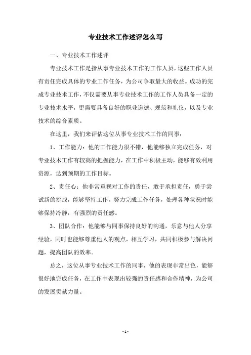 专业技术工作述评怎么写