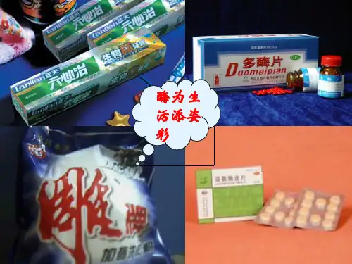 降低化学反应活化能的酶ppt24 人教课标版