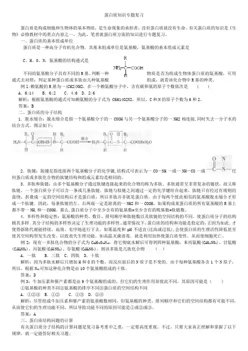 蛋白质知识专题复习