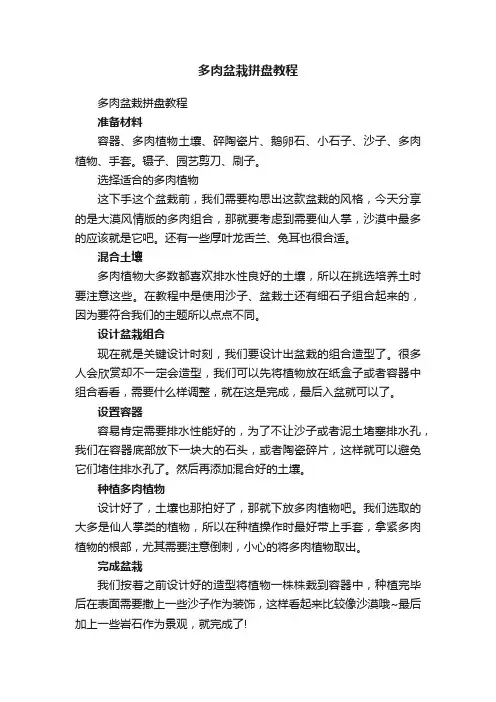 多肉盆栽拼盘教程
