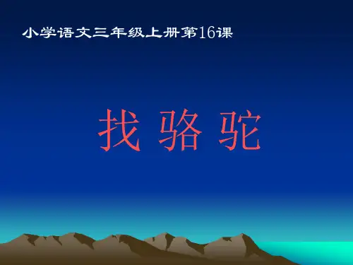 16、找骆驼ppt(1)