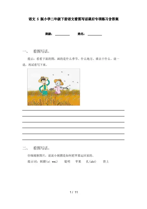 语文S版小学二年级下册语文看图写话课后专项练习含答案