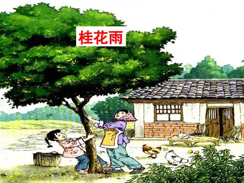 统编版五年级语文上册第3课桂花雨课件(共24张)
