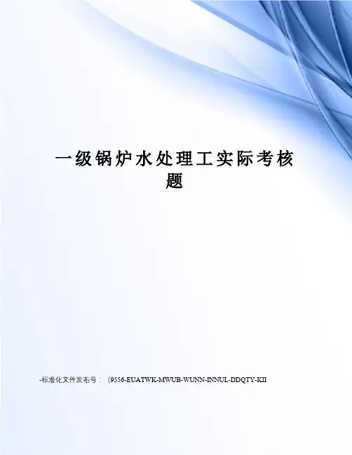 一级锅炉水处理工实际考核题