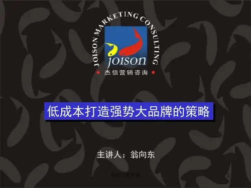 低成本打造强势大品牌的策略(康佛伦斯)