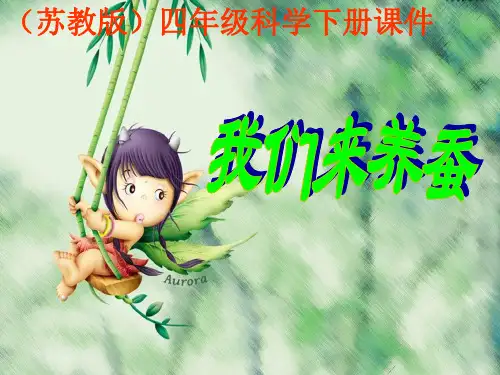 《我们来养蚕》ppt教材课件(2篇)