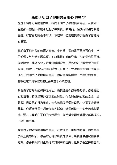 我终于明白了你的良苦用心800字
