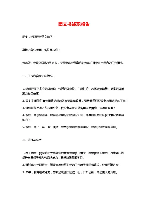 团支书述职报告