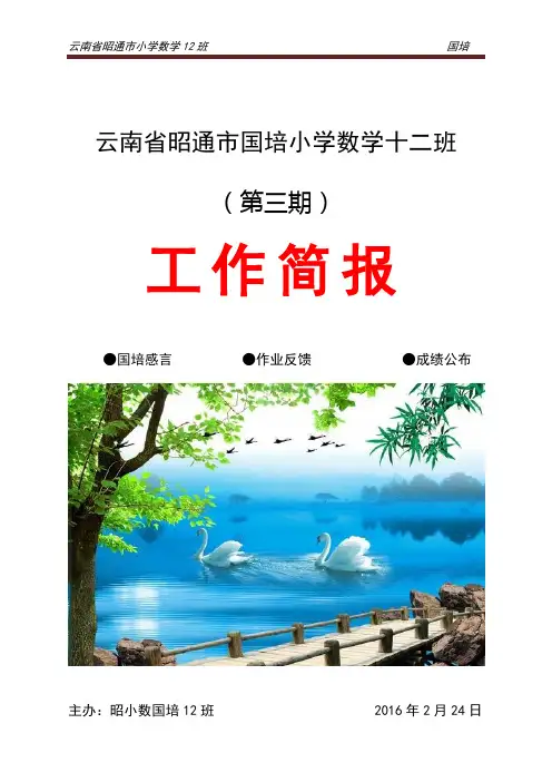 云南省昭通市国培小学数学十二班第三期简报