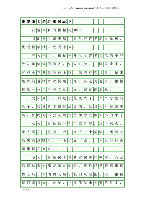 小学三年级写景作文：我爱家乡的柑橘树300字