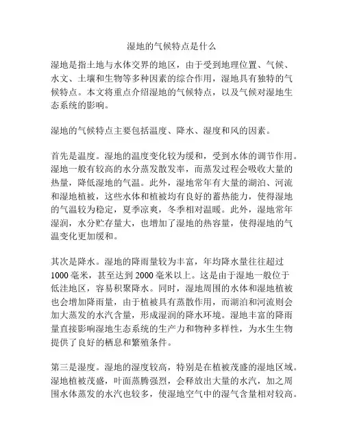 湿地的气候特点是什么