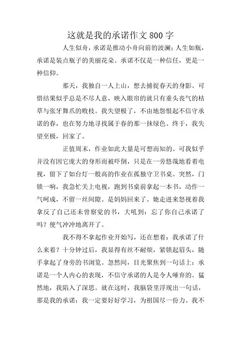 中学生作文：这就是我的承诺作文800字