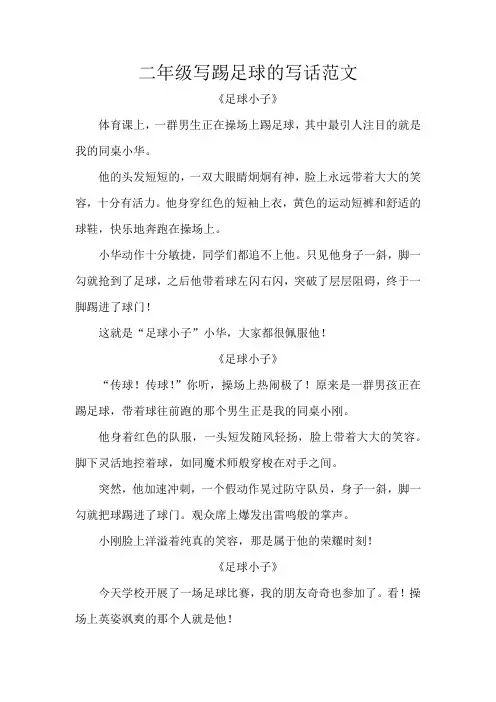 二年级写踢足球的写话范文