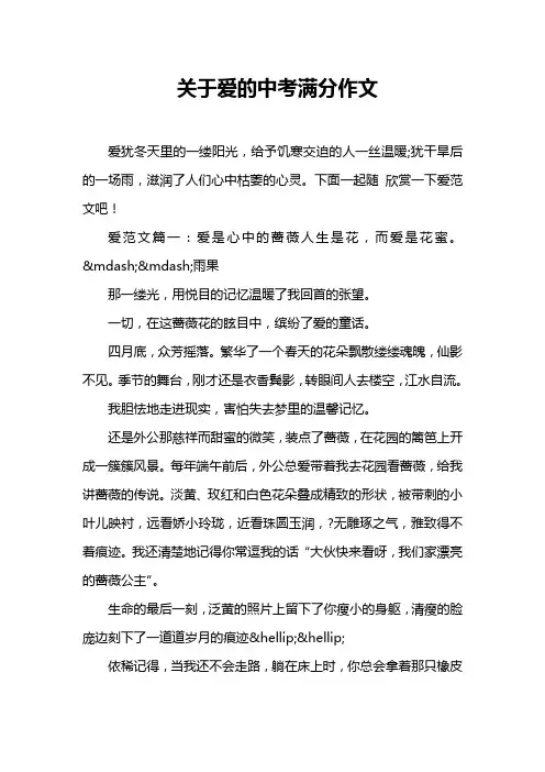 关于爱的中考满分作文