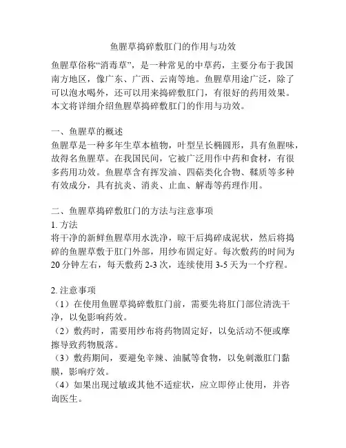 鱼腥草捣碎敷肛门的作用与功效
