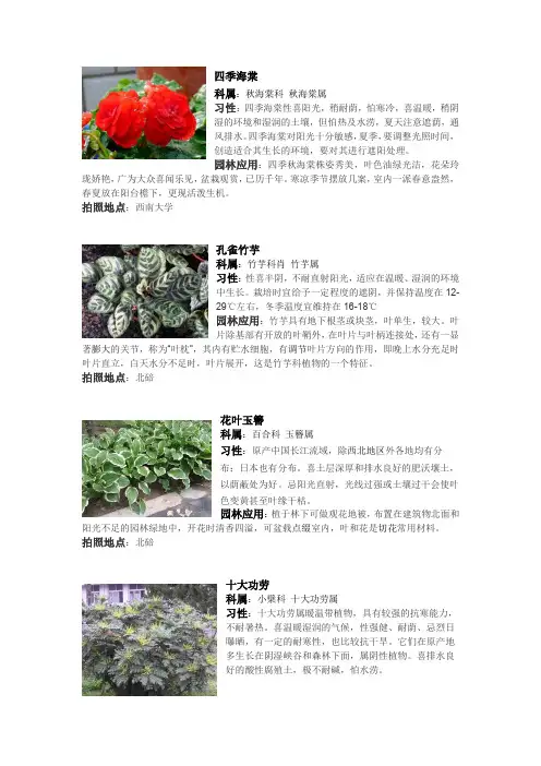 重庆花卉简介