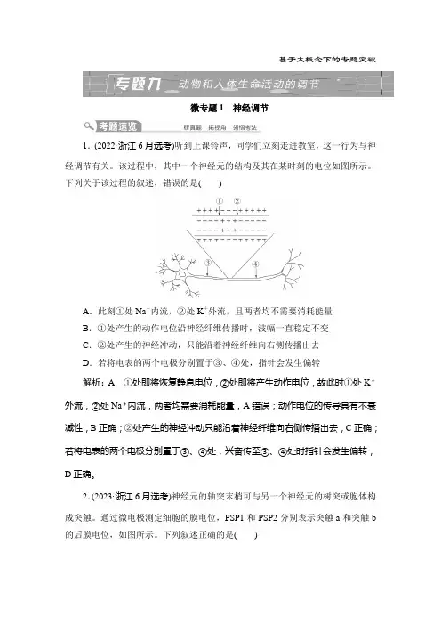 专题九 动物和人体生命活动的调节-2024届高三大二轮生物学 (新教材)