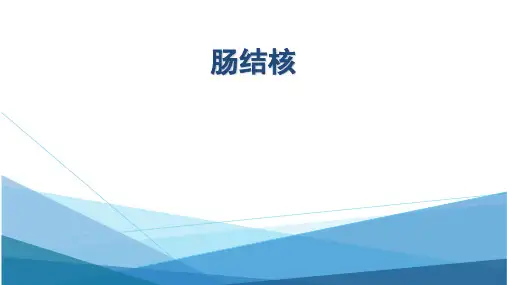 医学优秀课件《肠结核》