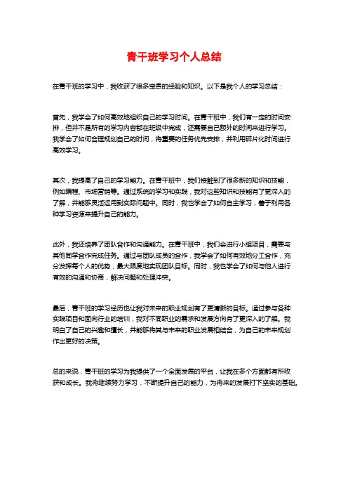 青干班学习个人总结