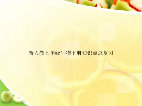 新人教七年级生物下册知识点总复习ppt文档