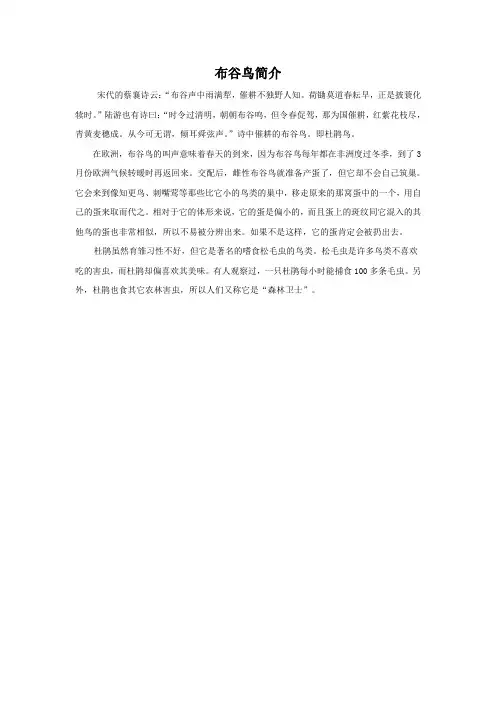 布谷鸟简介