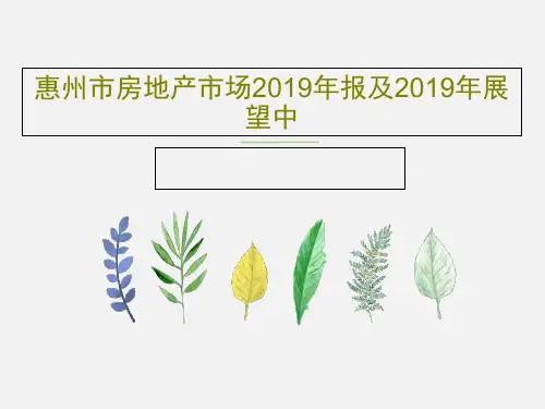 惠州市房地产市场2019年报及2019年展望中46页PPT