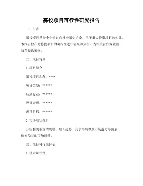 募投项目可行性研究报告