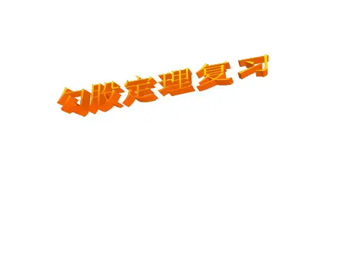 勾股定理复习课课件
