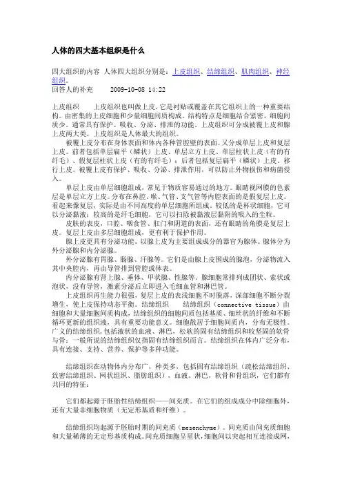 人体的四大基本组织是什么