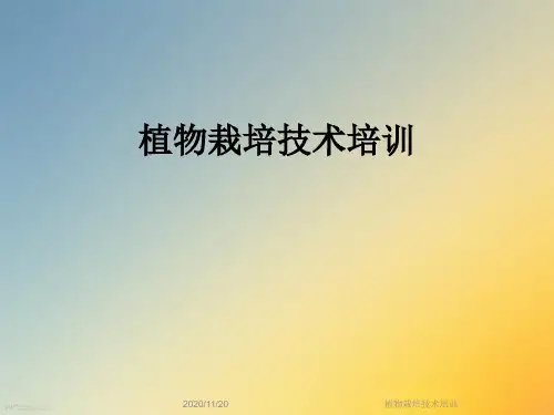 植物栽培技术培训