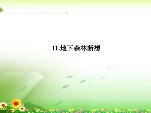 《地下森林断想》课件