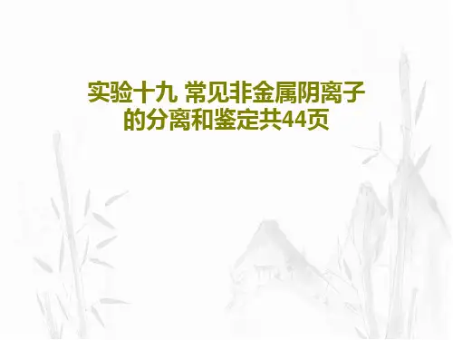实验十九 常见非金属阴离子的分离和鉴定共44页46页PPT