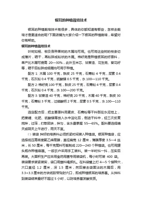 银耳的种植栽培技术