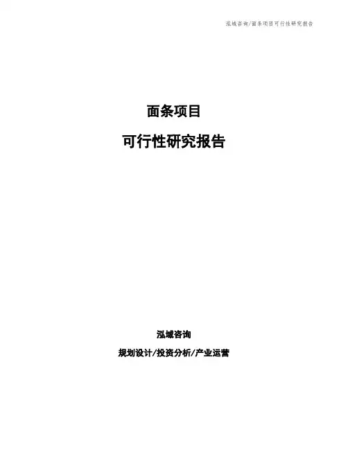 面条项目可行性研究报告
