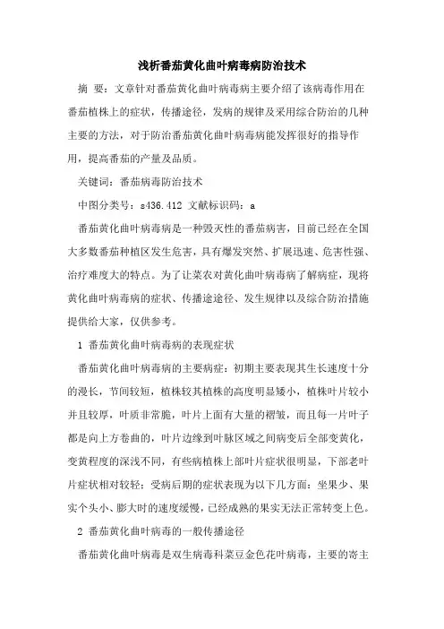 番茄黄化曲叶病毒病防治技术