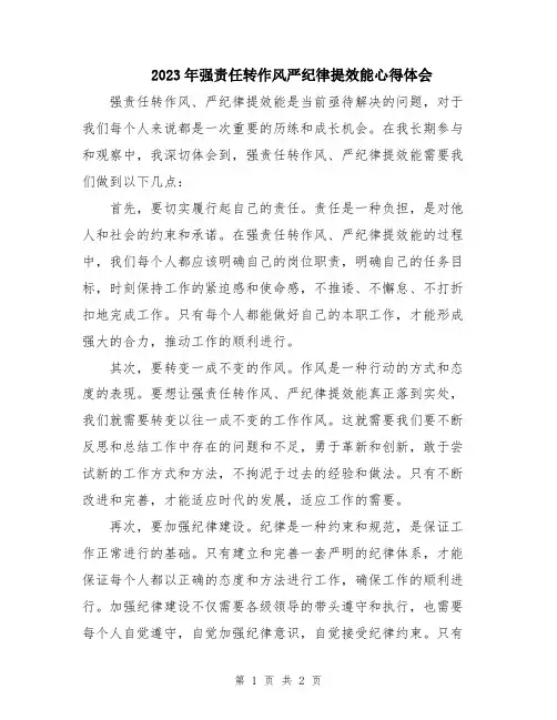 2023年强责任转作风严纪律提效能心得体会
