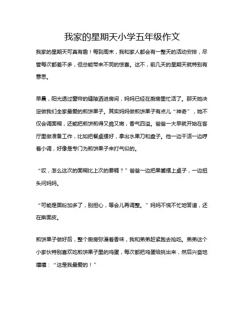 我家的星期天小学五年级作文