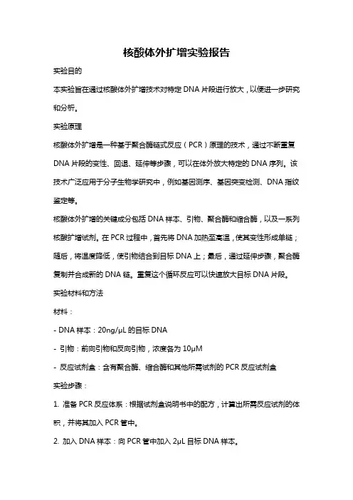 核酸体外扩增实验报告