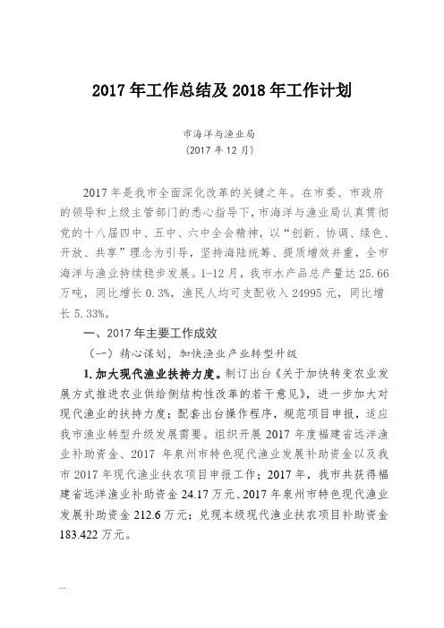 2017年工作总结及2018年工作计划课件