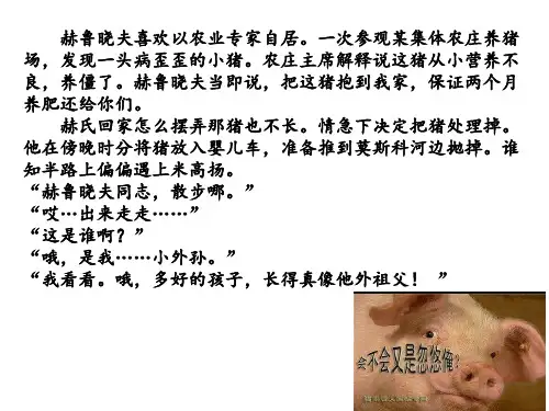 人民版高中历史必修二专题七第3课苏联社会主义改革与挫折 (41)